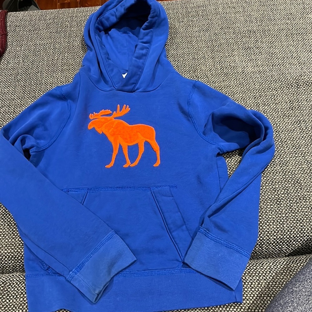 Ambercombie & Fitch Sweater with Hood